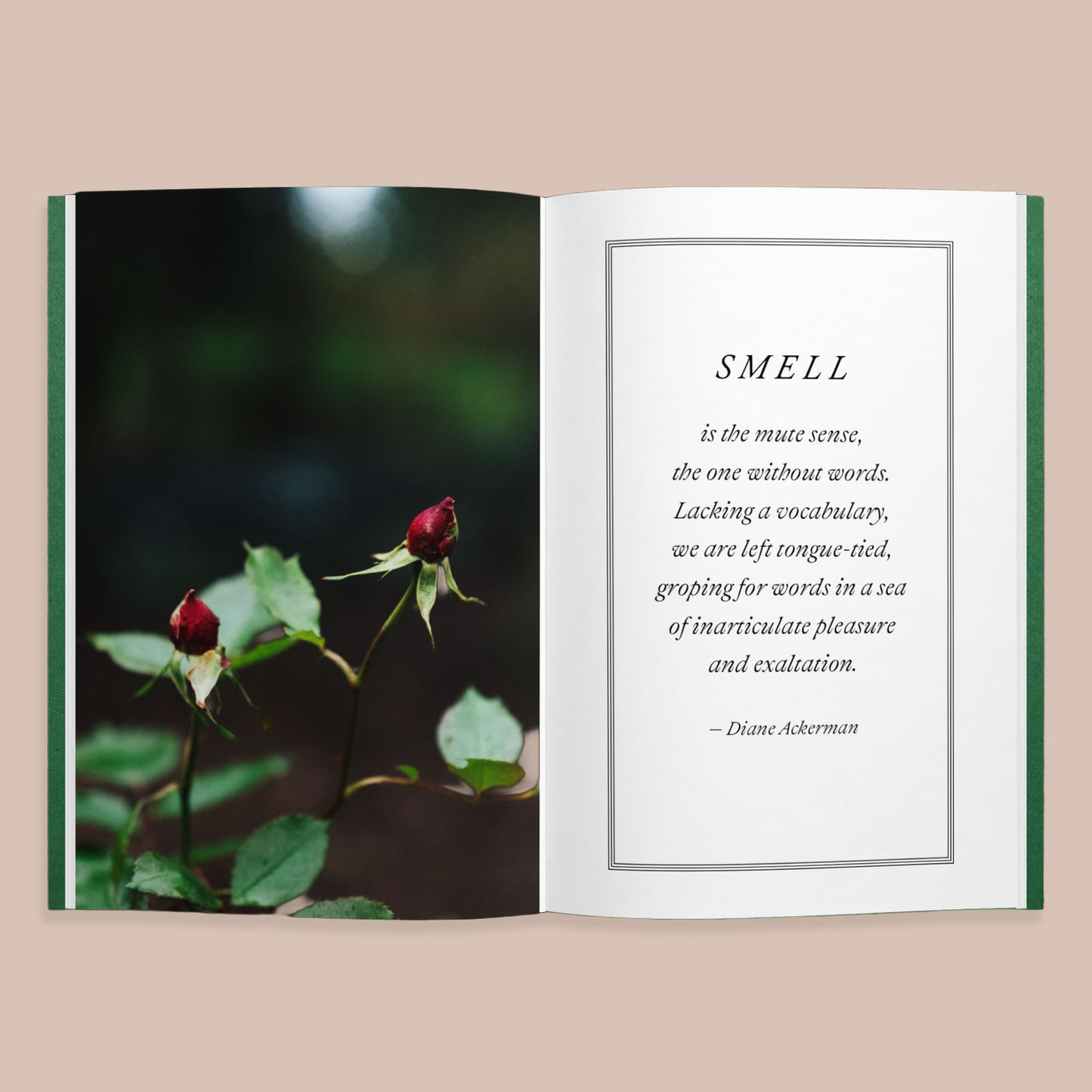 smell words by ex libris odoratis